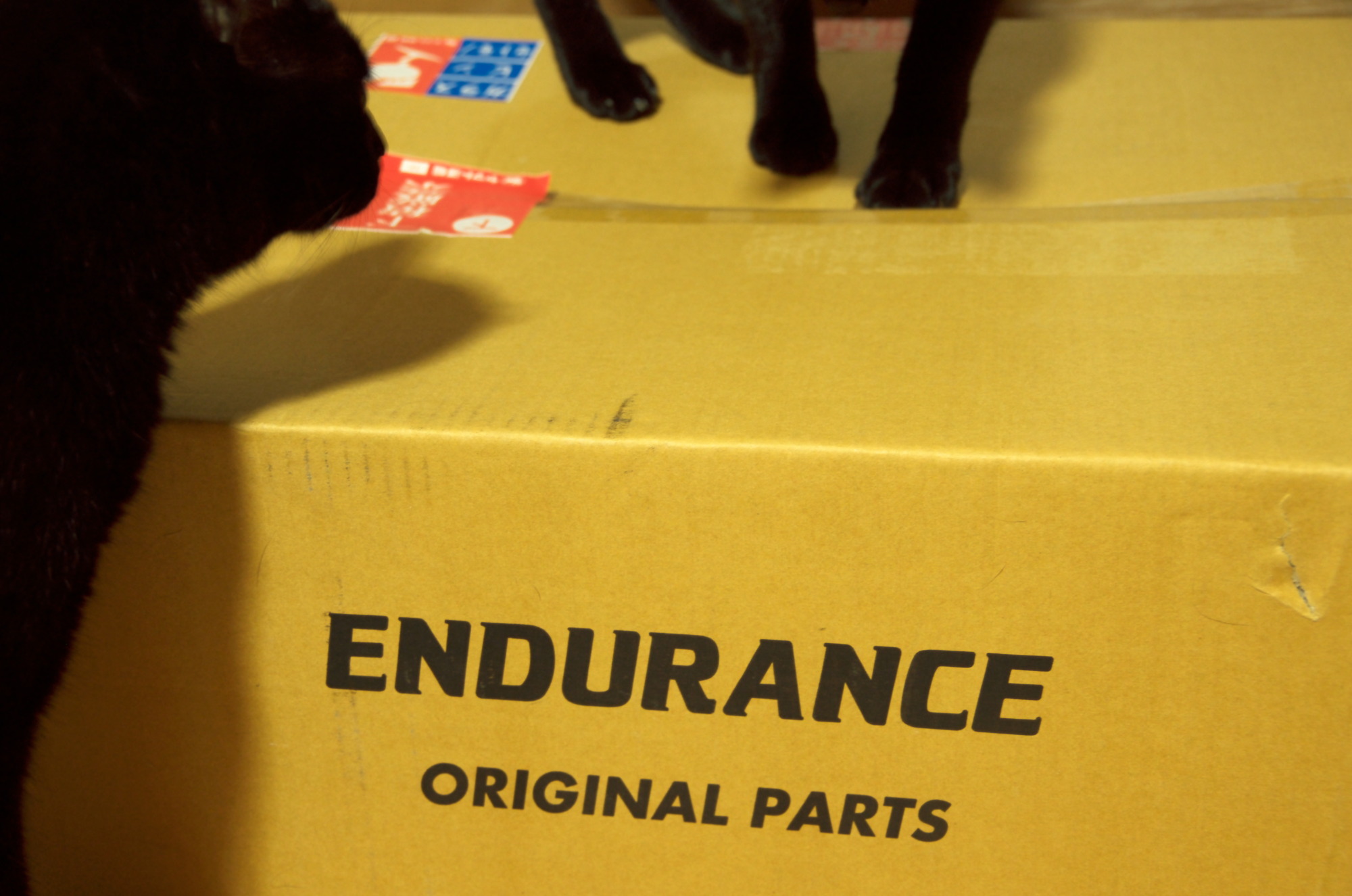 メリ子のプレセカンドライフ